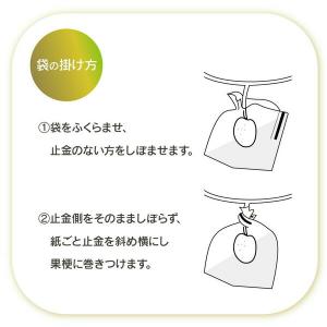 第一ビニール 1444 果実袋 20枚入キウイ...の詳細画像2