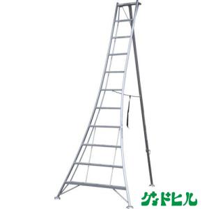 KWX-330 アルインコ(ALINCO) オールアルミ三脚脚立 全高3.38m 11尺　送料無料 （北海道・沖縄・離島除く）検索：剪定 庭掃除 枝切 お庭 キンモクセイ