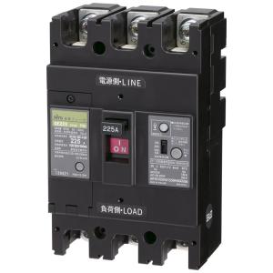 日東工業 漏電ブレーカ(経済形) GE2233P225ADVH
