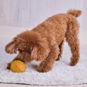 アドメイト (ADD. MATE) 犬用おもちゃ Enjoy!かむボール ラグビー