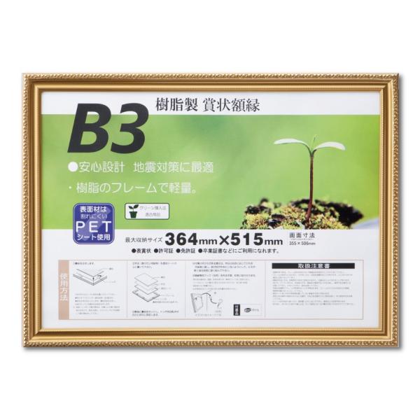 大仙 額縁 賞状額 金消 R B3 樹脂製 シュリンクパック J045B4400
