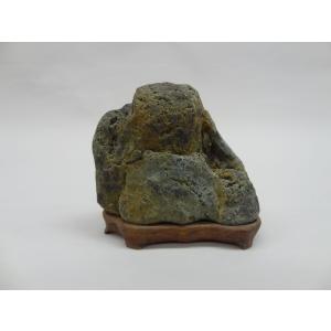 水石：泉州石 ツボ石 現品*資材 せんしゅう : 遊恵盆栽 Yahoo!店