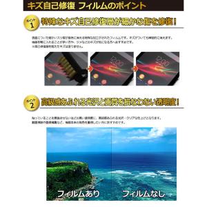 PDA工房 GARMIN Instinct C...の詳細画像3
