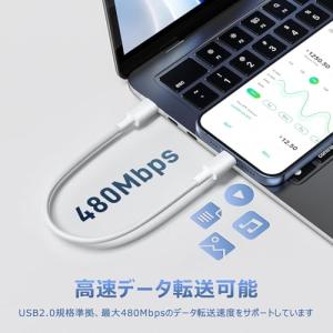 USB Type-C to C ケーブル 短い...の詳細画像3