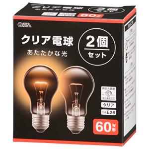 オーム電機 白熱電球 エジソン電球 クリア 白熱球
