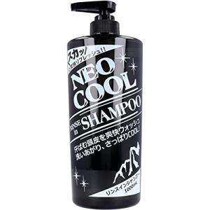 ボディーソープ 極涼 アイスボディシャンプー 1000ml 大容量 クール