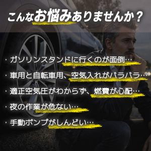 電動空気入れ 空気入れ 電動 40cm延長ホー...の詳細画像2