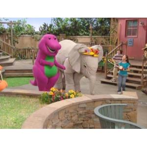 Musical Zoo DVD 並行輸入の詳細画像2