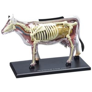 Tedco Toys 26100 4D Vision Cow Anatomy Model 並行輸入｜good-quality