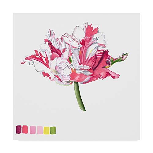 Trademark Fine Art Brighton Blooms V by Naomi McCa...