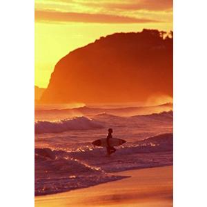 Posterazzi Surfer at Sunset St Kilda Beach Dunedin New Zealand Poste 並行輸入の商品画像