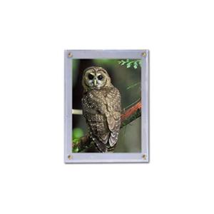 BCW - 5 x 7 Photo Screwdown Holder - Photo Trading Cards Post Card 並行輸入の商品画像