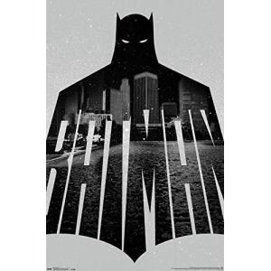 Trends International バットマン-Text プレミアムウォールポスター 22.375インチ x 34インチ 並行輸入｜good-quality