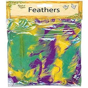 Touch of Nature Turkey Flat Feathers for Arts and Crafts Mardi Gras 並行輸入の商品画像