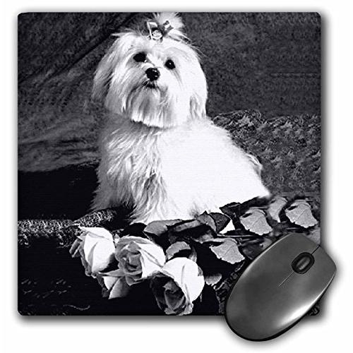 3Dローズ 犬 マルチーズ ‐ マルチーズ - マウス パッド - マウスパッド - mp_256_...