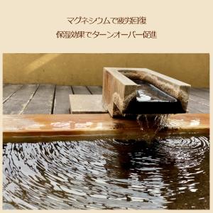 【限定価格!】バスフレーク コストコ Salt...の詳細画像5