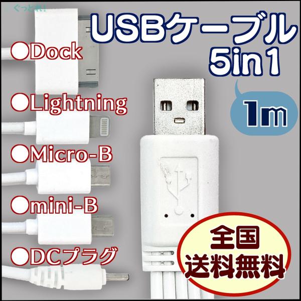 Dockケーブル USBケーブル 5in1 充電ケーブル minib microb lightnin...