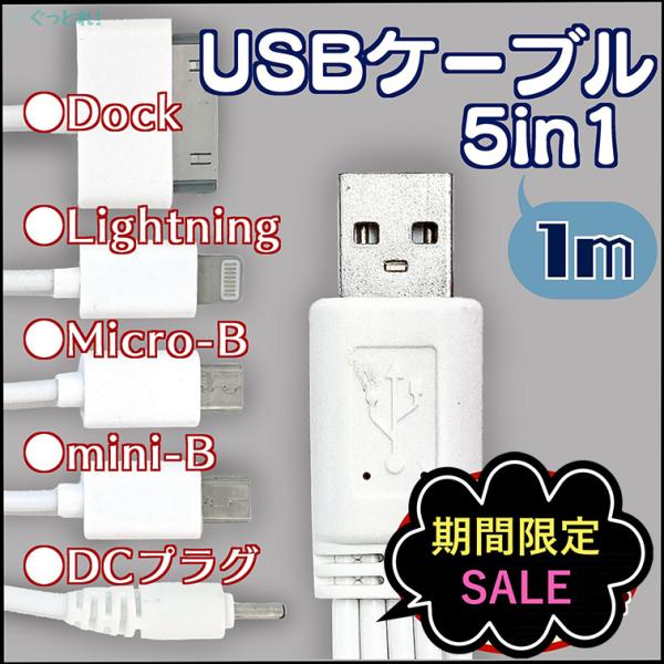 Dockケーブル USB 5in1 充電 minib microb lightning ライトニング...