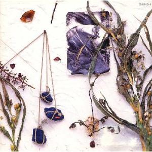 真島昌利(THE BLUE HEARTS,THE HIGH-LOWS) / 夏のぬけがら 1989.11.21