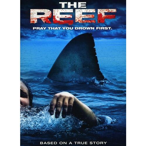 REEF(輸入盤DVD)[新品]