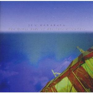 [国内盤CD][新品]JUN KAWABATA(川端潤) / The Other Side of Absolute Elsewhere