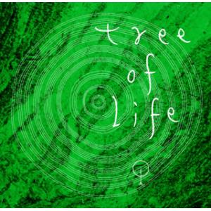 [国内盤CD][新品]瀬木貴将 / Tree of Life