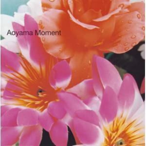[国内盤CD][新品]Aoyama Moment