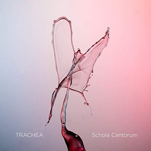 VA / Trachea(輸入盤ブルーレイ)[新品]