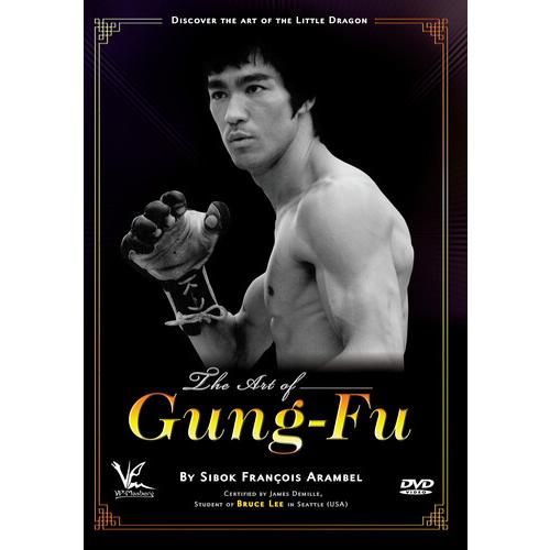 Art Of Gung-Fu: Discover The Art Of Little Dragon ...