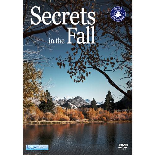 Secrets In The Fall (輸入盤DVD)[新品]