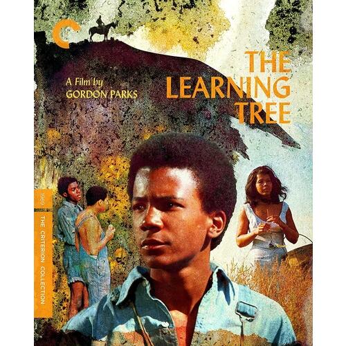 [1]CRITERION COLLECTION / THE LEARNING TREE (輸入盤DV...