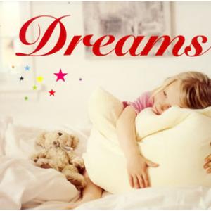 [国内盤CD][新品]DREAMSの商品画像