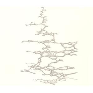 [国内盤CD][新品]ザ・クリエイター・オブ / ダスト・トゥ・ダスト[2枚組]