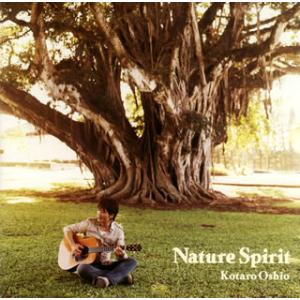 [国内盤CD][新品]押尾コータロー / Nature Spirit