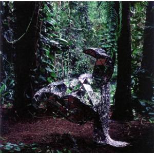 [国内盤CD][新品]CSS / ドンキー[初回出荷限定盤(初回限定)]