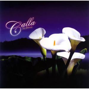[国内盤CD][新品]カラー / イン・ブルーム