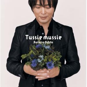 [国内盤CD][新品]押尾コータロー / タッジーマッジー