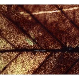 [国内盤CD][新品]Pay money To my Pain / gene