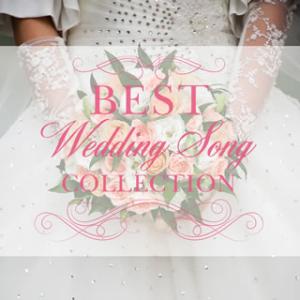 [国内盤CD][新品]Best Wedding Song Collection