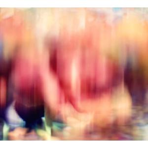 [国内盤CD][新品]akisai / images [CD+DVD][2枚組]