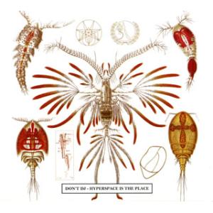 [国内盤CD][新品]Don't DJ / ハイパースペース・イズ・ザ・プレイス / ハイパースペー...