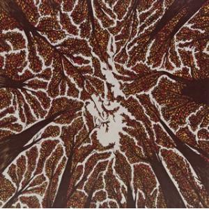 [国内盤CD][新品]トラッシュ・ボート / クラウン・シャイネス