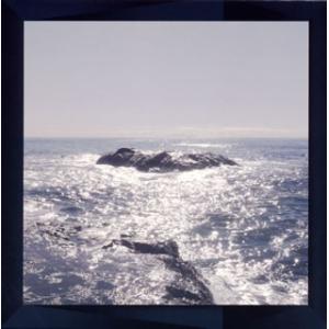 [国内盤CD][新品]TAKAO / STEALTH