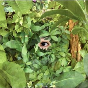 [国内盤CD][新品]関根真理 / Beginning