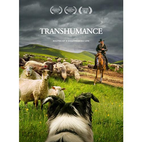 Transhumance: Routes To A Disappearing Life (輸入盤DV...