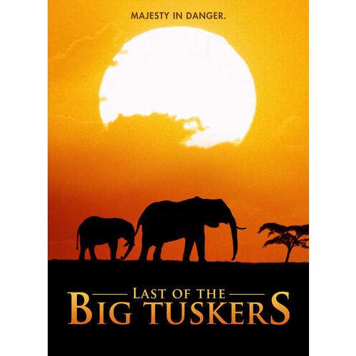 Last Of The Big Tuskers (輸入盤DVD)[新品]