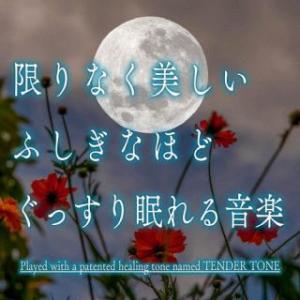 [国内盤CD][新品]神山純一J.Project / 限りなく美しい ふしぎなほどぐっすり眠れる音楽 (2023/4/19発売)