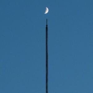 [国内盤CD][新品] 高野寛 / Modern Vintage Future