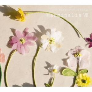 [国内盤CD][新品] 高木正勝 / マージナリアVIII (2026/5/27発売)