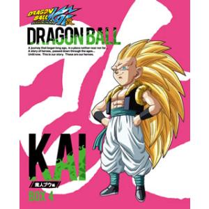 ドラゴンボールZ改 北米版 DVD-BOX 全28枚 全167話 ドラゴンボール改 145-167話BOXセット ブルーレイ Blu-ray